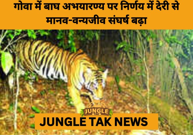 The Silent Roar: Goa’s Tigers Threatened by Delays and Inaction- JUNGLE TAK
