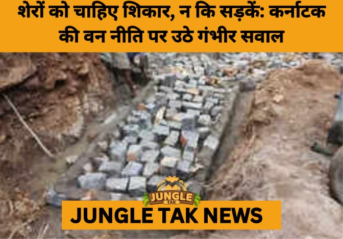 From Pride to Peril: Karnataka’s Tiger Crisis Exposes Cracks in Conservation- JUNGLE TAK