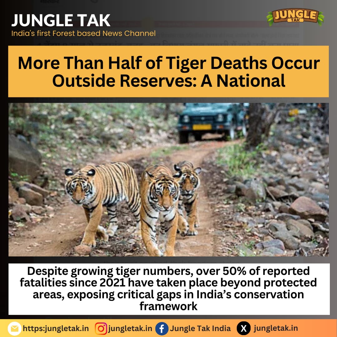 Beyond the Reserves: Over Half of India’s Tiger Deaths Now Occur Outside Protected Areas- JUNGLE TAK