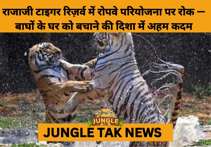 NBWL Halts Uttarakhand Ropeway Project Over Rajaji Tiger Reserve Core Zone Concerns- JUNGLE TAK