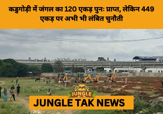Karnataka Reclaims ₹4,000 Crore Forest Land, but Court Blocks Further Evictions Over Legal Lapses- JUNGLE TAK
