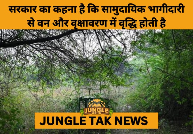 Tribal and Community Stewardship Credited for India’s Forest Gains: ISFR 2023- JUNGLE TAK