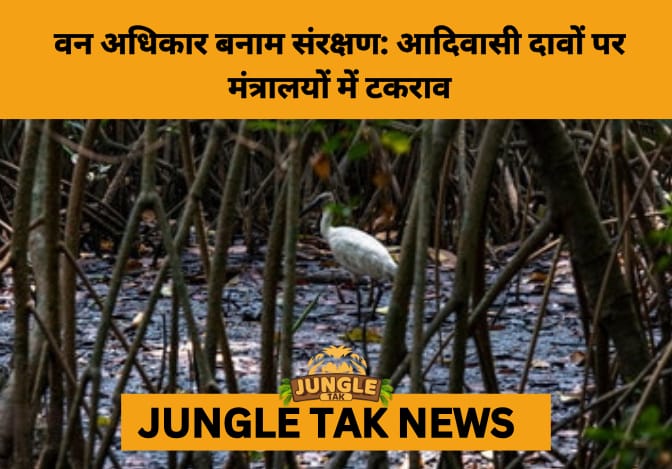 Forest Rights Under Fire: Tribal Ministry Challenges Environment Ministry Over FRA Blame- JUNGLE TAK