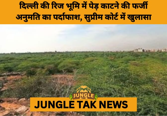 Fake Forest Clearance Exposed in Delhi’s Protected Ridge Area, SC to Hear Case on July 21- JUNGLE TAK
