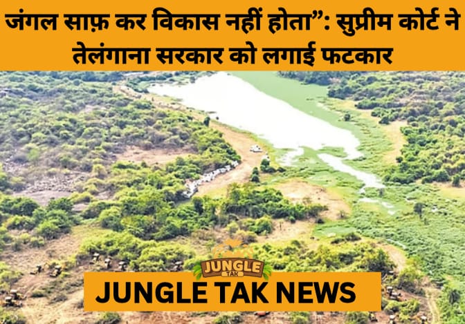 Supreme Court Slams Telangana Over Forest Destruction, Warns of Jail for Officials- JUNGLE TAK