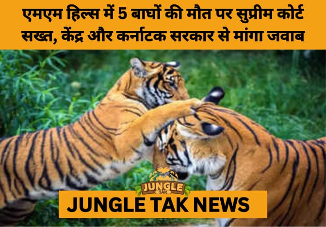 Supreme Court Slams Karnataka Over Tiger Deaths, Orders Urgent Conservation Reforms- JUNGLE TAK
