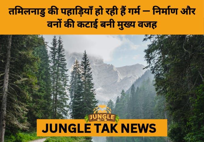 Tamil Nadu’s Hill Stations at Risk: Climate and Construction Push Ecosystems to the Brink- JUNGLE TAK