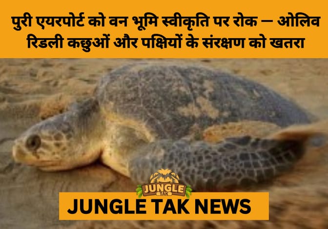 Forest Panel Halts Puri Airport Clearance Over Threat to Wildlife and Chilika Ecosystem- JUNGLE TAK