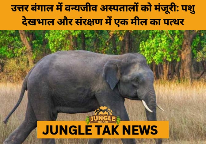 West Bengal to Launch Wildlife Hospitals in North Bengal: A New Era in Animal Care and Conservation- JUNGLE TAK