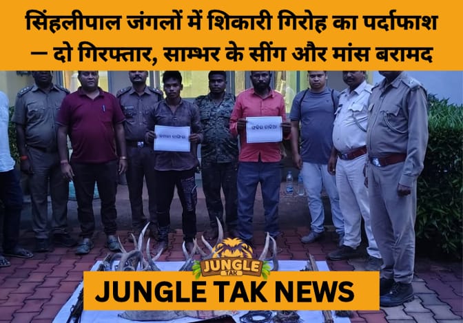 Similipal Crackdown: Two Poachers Caught with Traps, Antlers, and Sambar Meat in Targeted Raids- JUNGLE TAK