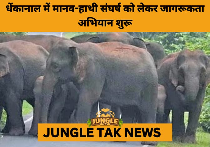 Odisha Launches 24/7 Vigil as Dhenkanal Faces Surge in Human-Elephant Conflict- JUNGLE TAK