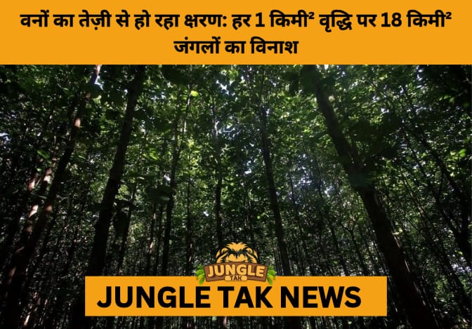 India’s Vanishing Forests: IIT-SASTRA Study Highlights Ecological Fragmentation- JUNGLE TAK