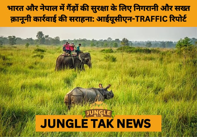 India and Nepal’s Rhino Comeback: IUCN-TRAFFIC Report Highlights Sharp Drop in Poaching, Population Rise- JUNGLE TAK