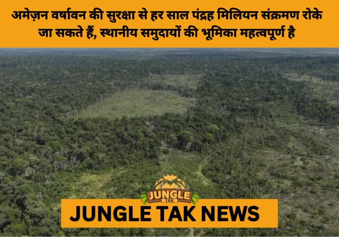 Protecting Amazon Rainforest Could Prevent 15 Million Disease Cases Annually, Study Finds- JUNGLE TAK