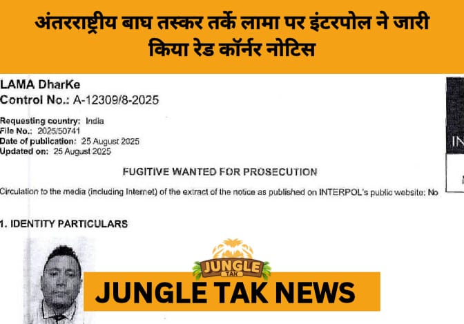 Interpol Issues Red Corner Notice Against International Tiger Smuggler- JUNGLE TAK