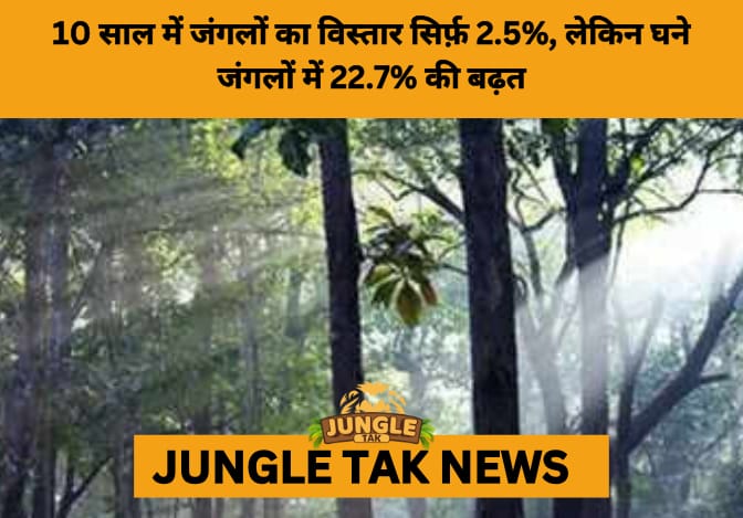 India’s Forest Cover Growth: Modest Expansion, Strong Gains in Dense Forests- JUNGLE TAK