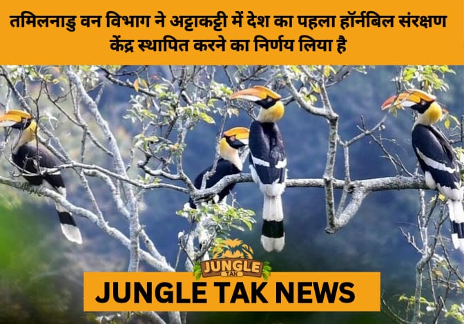 Hornbill Conservation Gets a Boost: India’s First Dedicated Centre at Anamalai Tiger Reserve- JUNGLE TAK