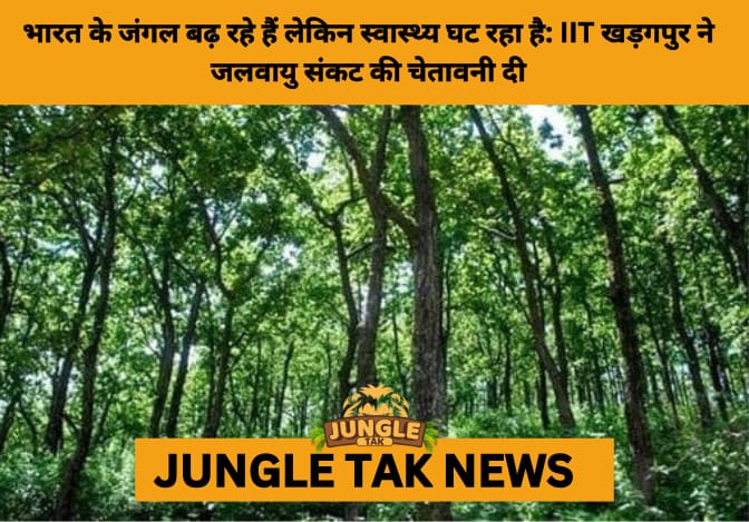 IIT Kharagpur Study Warns of Declining Forest Health in India- JUNGLE TAK