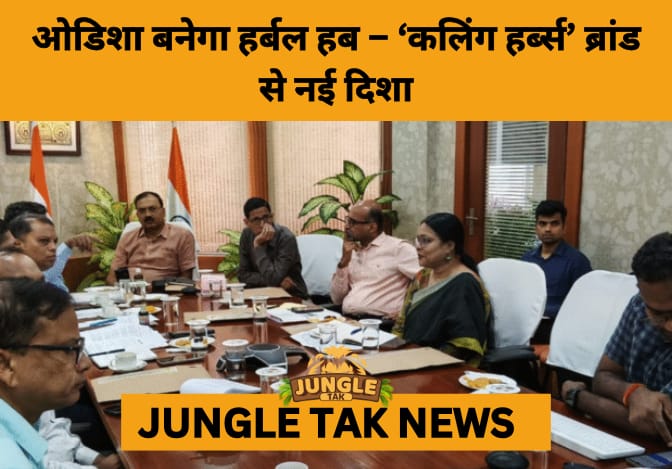Herbal Push: Odisha to Launch ‘Kalinga Herbs’ and Strengthen Medicinal Plant Sector- JUNGLE TAK