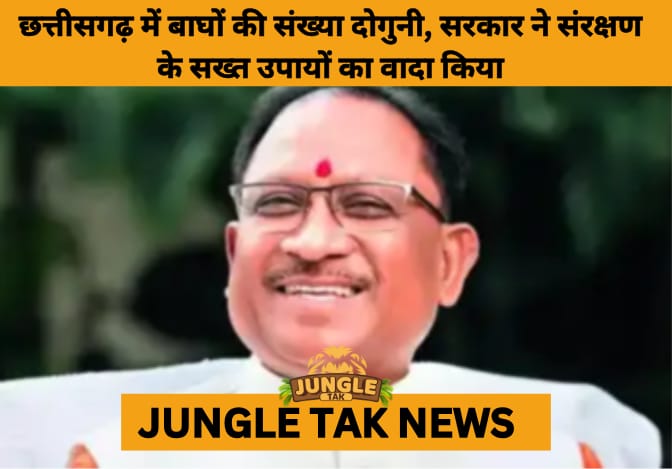 Chhattisgarh Doubles Tiger Population in 3 Years, Sets New Benchmark in Conservation- JUNGLE TAK