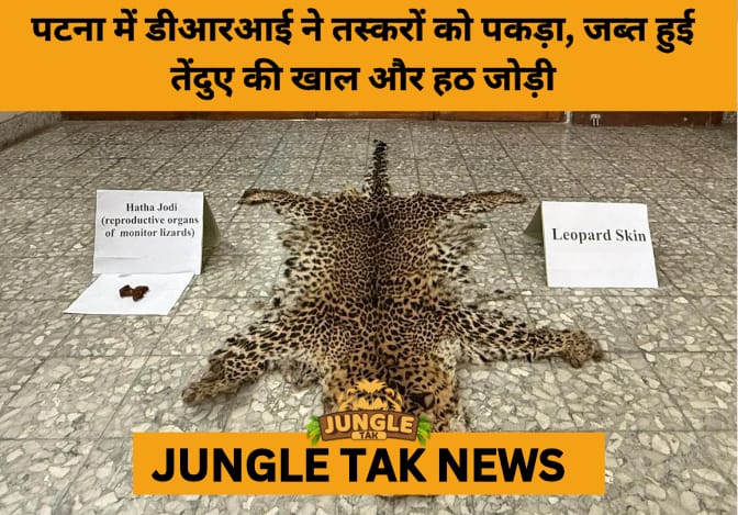 DRI Patna Nabs Wildlife Traffickers with Leopard Skin and Hatha Jodi in Major Seizure- JUNGLE TAK