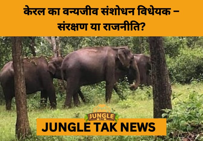 Kerala’s Wildlife Amendment Bill Sparks Federalism and Conservation Debate- JUNGLE TAK