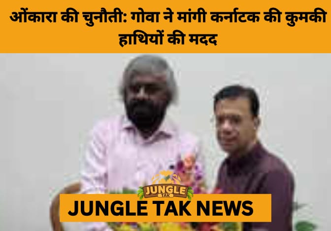 Goa Seeks Karnataka’s Help to Tackle Lone Elephant ‘Omkara'- JUNGLE TAK