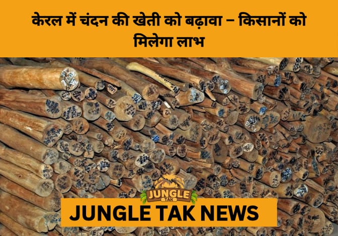 Kerala Cabinet Approves Bill Allowing Farmers to Cultivate and Sell Sandalwood- JUNGLE TAK