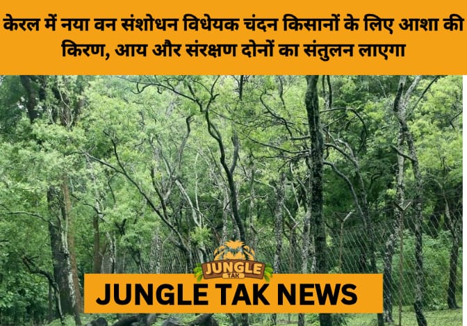 Kerala Eases Sandalwood Harvesting Laws, Boosting Farmers’ Income Prospects- JUNGLE TAK