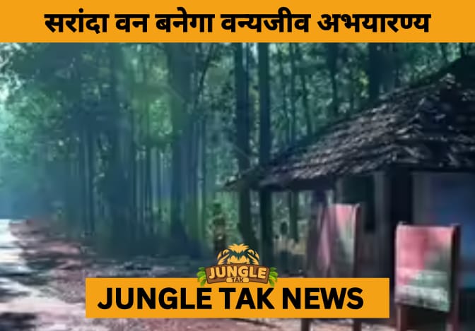 Jharkhand Declares Part of Saranda Forest as Wildlife Sanctuary to Safeguard Asia’s Largest Sal Forest- JUNGLE TAK