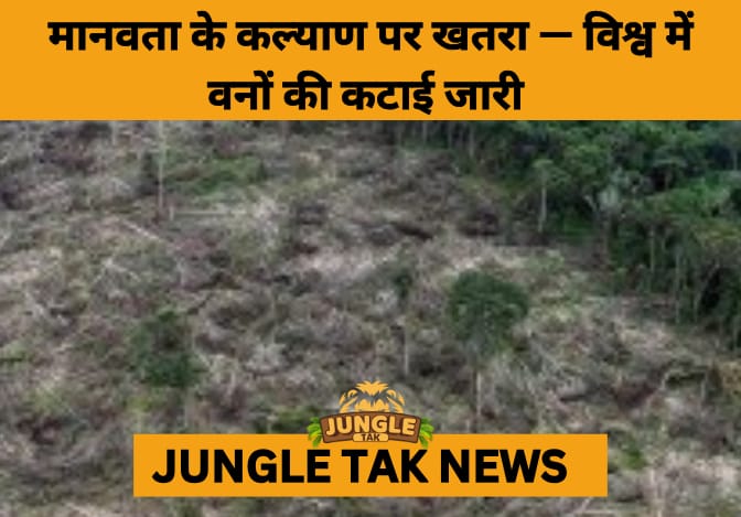 Global Forests in Peril: 2025 Assessment Warns World Far Off Track to End Deforestation by 2030-JUNGLE TAK