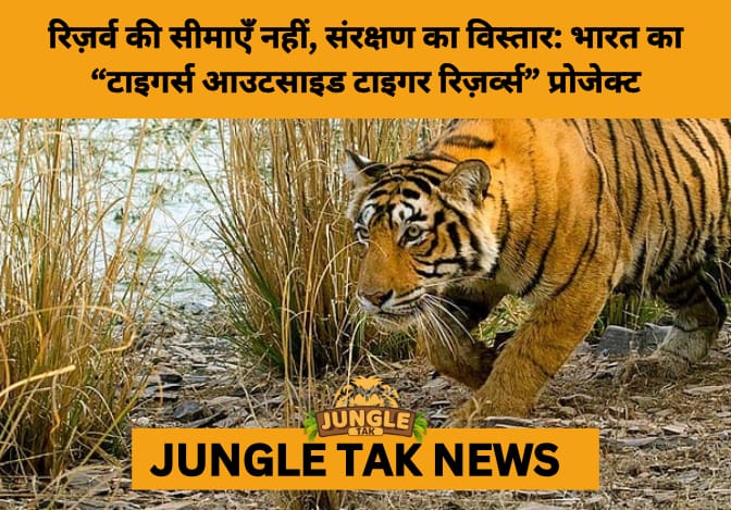 India Expands Tiger Conservation Beyond Reserves- JUNGLE TAK