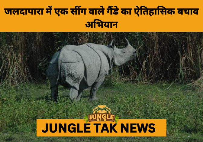 India’s Largest Rhino Rescue: 10th One-Horned Rhino Saved from North Bengal Floods and Returned to Jaldapara-JUNGLE TAK
