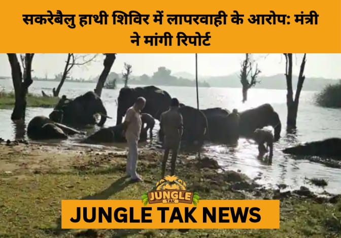Karnataka Forest Minister Orders Probe into Negligence Allegations at Sakrebailu Elephant Camp- JUNGLE TAK