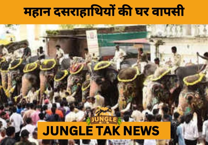 Mysuru Dasara Elephants Bid Farewell Amid Joy and Discontent Over Unpaid Honorarium- JUNGLE TAK