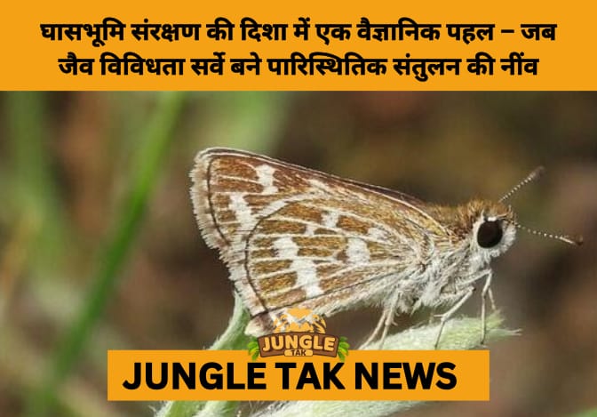 Pune Forest Division Launches Biodiversity Mapping Project to Conserve Grassland Ecosystems During Wildlife Week 2025-JUNGLE TAK