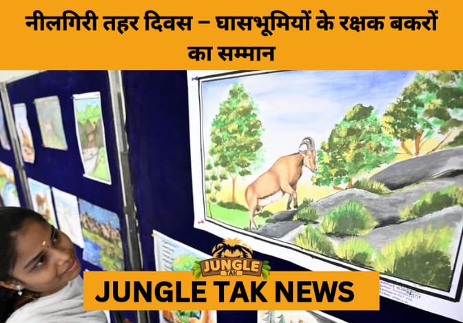 Tamil Nadu Celebrates Nilgiri Tahr Day 2025, Emphasizing Grassland and Water Conservation- JUNGLE TAK