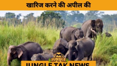 Kerala Activists Urge Governor to Reject Wildlife Bill Over Conservation Fears- JUNGLE TAK