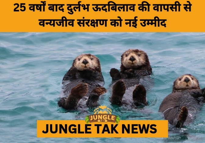 Smooth-Coated Otter Spotted Again in Chhattisgarh After 25 Years- JUNGLE TAK