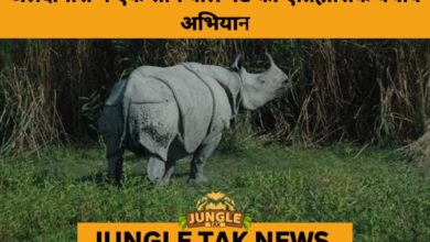 Kaziranga Emerges as Biodiversity Hotspot, Hosting 40% of Northeast India’s Amphibian and Reptile Species- JUNGLE TAK
