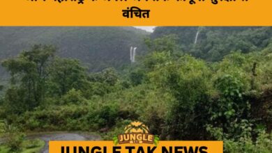 RTI Reveals 46% of Maharashtra’s Notified Forest Land Still Lacks Legal Protection- JUNGLE TAK