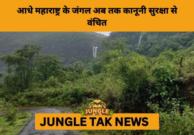 RTI Reveals 46% of Maharashtra’s Notified Forest Land Still Lacks Legal Protection- JUNGLE TAK