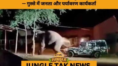 Outrage in Coimbatore as Forest Officers Caught on Video Ramming Jeep into Wild Tusker ‘Baahubali’- JUNGLE TAK