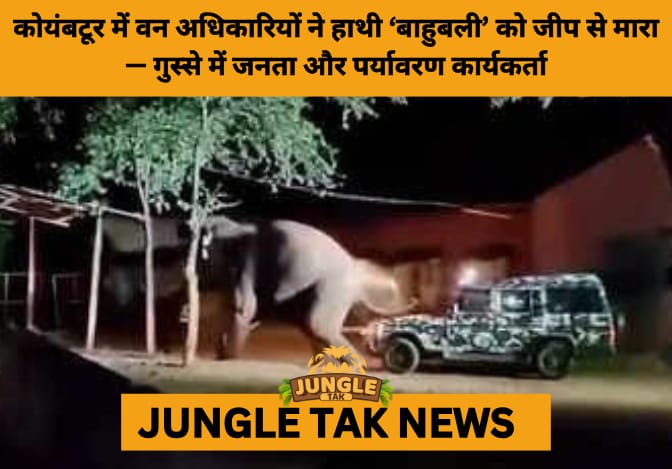 Outrage in Coimbatore as Forest Officers Caught on Video Ramming Jeep into Wild Tusker ‘Baahubali’- JUNGLE TAK