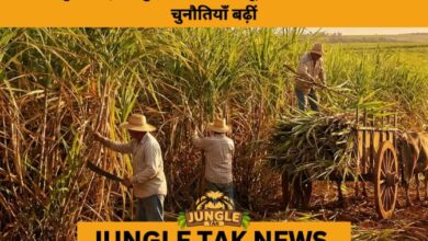 Leopard Encounters Surge in Jaipur as Urban Expansion Pushes Wildlife Into City- JUNGLE TAK