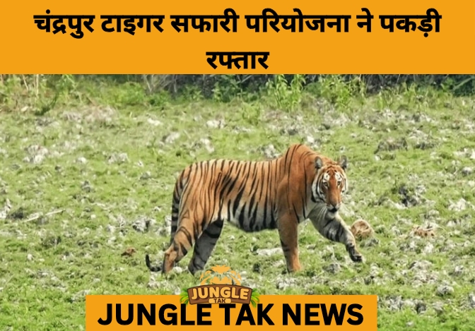 Chandrapur Tiger Safari Nears Completion: Maharashtra’s ₹600-Crore Eco-Tourism Marvel- JUNGLE TAK