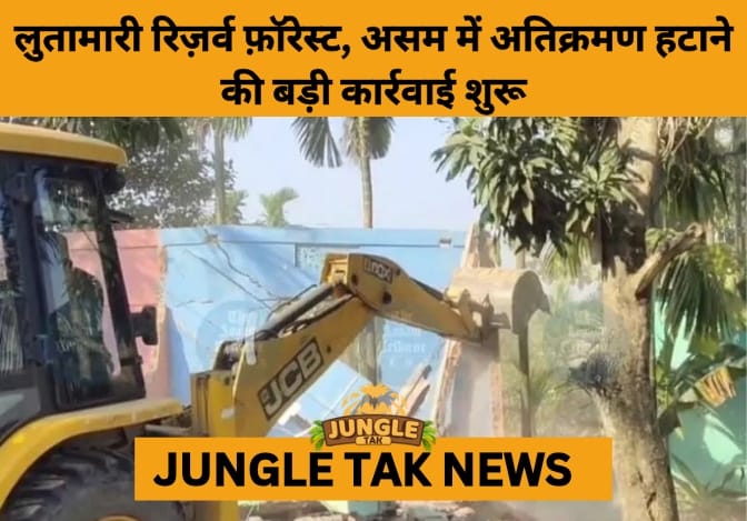 Mining Boom Deepens Ecological and Social Crisis in Bastar’s Tribal Forests- JUNGLE TAK