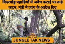 Karnataka Orders Probe into Large-Scale Illegal Tree Felling in Bidaragodu Hills- JUNGLE TAK
