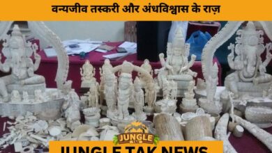 Into the Shadows of the Wild: Kerala’s Secret World of Smuggling and Superstition- JUNGLE TAK