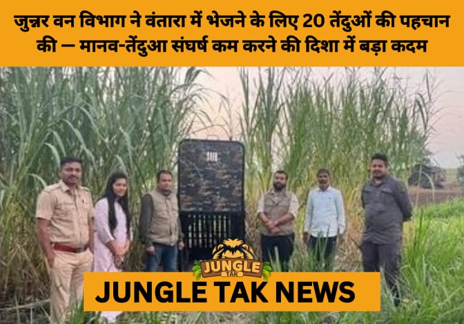 Maharashtra to Relocate 50 Leopards from Junnar to Gujarat’s Vantara Facility to Curb Rising Human-Wildlife Conflict- JUNGLE TAK